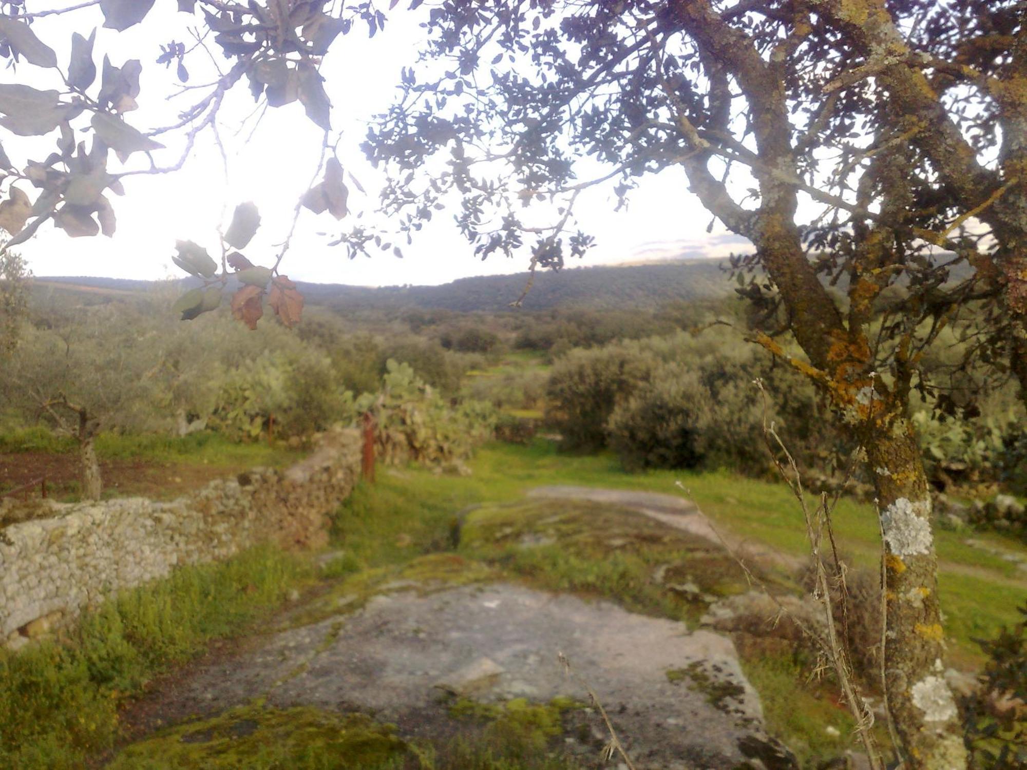 Apartamentos El Jardin Del Poeta Guijo de Granadilla Eksteriør bilde