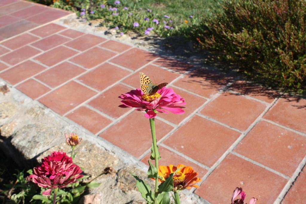 Apartamentos El Jardin Del Poeta Guijo de Granadilla Eksteriør bilde