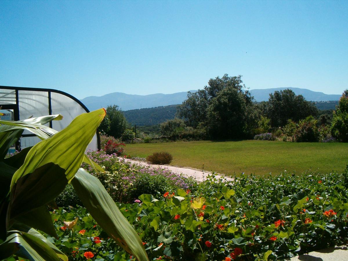 Apartamentos El Jardin Del Poeta Guijo de Granadilla Eksteriør bilde
