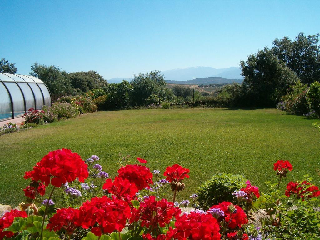 Apartamentos El Jardin Del Poeta Guijo de Granadilla Eksteriør bilde