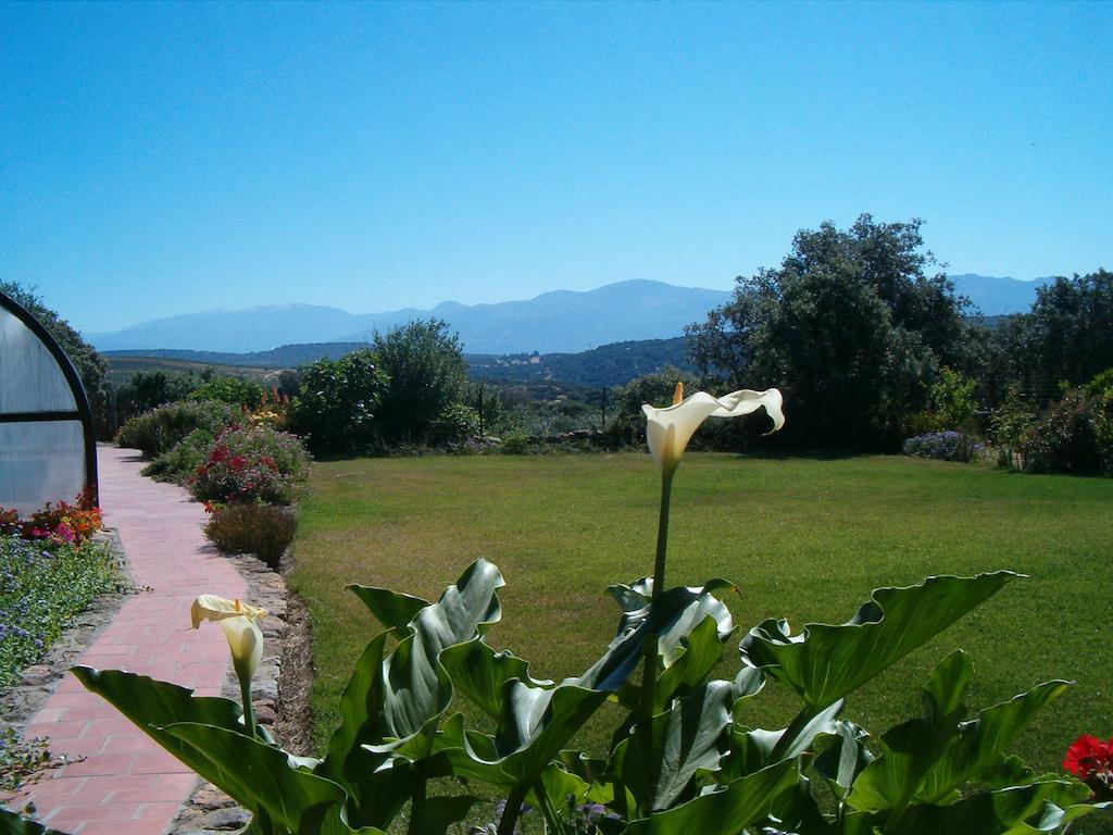 Apartamentos El Jardin Del Poeta Guijo de Granadilla Eksteriør bilde